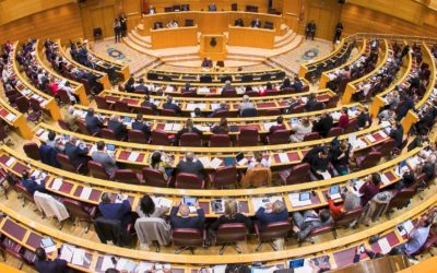 El Senado declara 2017 ‘Año de la Salud Mental’ en España