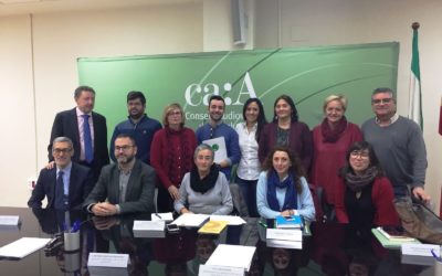 El Consejo Audiovisual andaluz analizará el tratamiento de la discapacidad en los informativos de televisión y en la publicidad
