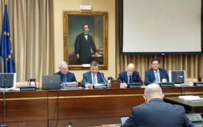SALUD MENTAL ESPAÑA comparece en el Congreso de los Diputados para exponer sus reivindicaciones y propuestas en materia de salud mental
