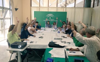 FEAFES celebra su Asamblea Ordinaria en Sevilla.