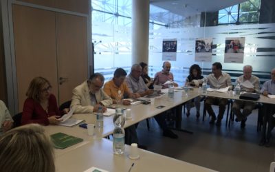 La Asamblea Ordinaria de FEAFES aprueba la gestión de la Junta Directiva