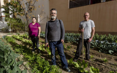 Agricultura urbana como terapia en FAEM