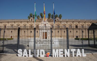 Feafes propone a la administración una red de atención única en Salud Mental