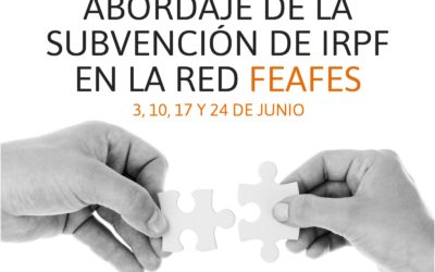 Feafes aborda la subvención de IRPF en sesiones webinar destinadas a formar a profesionales de las entidades federadas