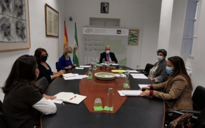 Nuestra presidenta se reúne con el Defensor del Pueblo Andaluz. Feafes Andalucía muestra su satisfacción por la acogida y sensibilidad que ha mostrado el equipo de D. Jesús Maetzu con la salud mental