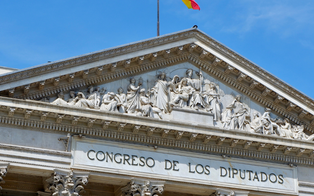 Salud Mental Andalucia se suma a la petición de CERMI para que todos los grupos políticos apoyen la propuesta de reforma del artículo 49 de la Constitución