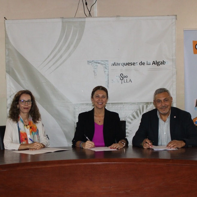 La Federación Salud Mental Andalucía aplaude la adhesión de Sevilla a la Red Europea de Ciudades por la Salud Mental