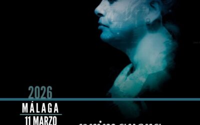 Primavera Intermitente: una mirada cinematográfica para comprender el trastorno bipolar en el espacio Solidario del Festival de Málaga